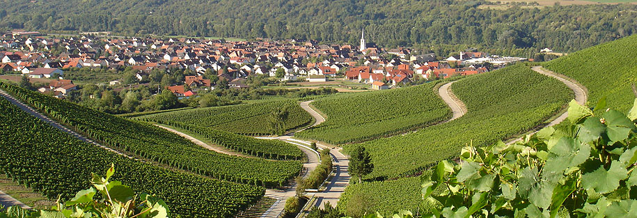 Ortsansicht Gemeinde Thüngersheim